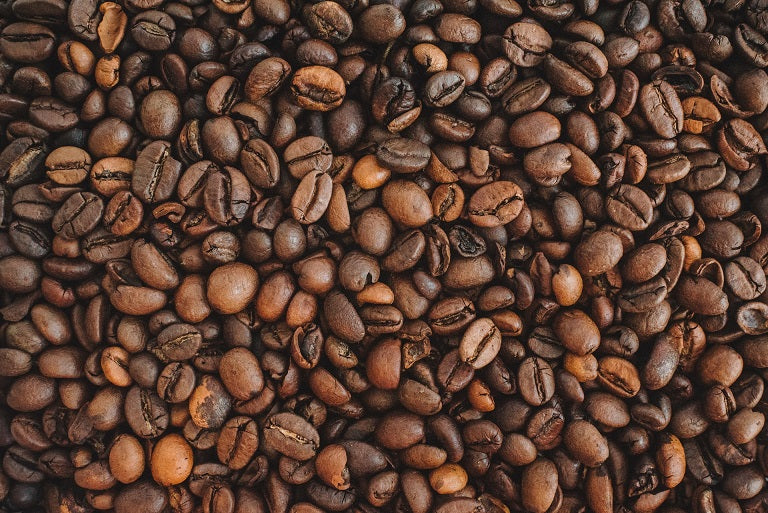 Where to Buy Fresh Roasted Coffee Beans Online and How to Store Them!