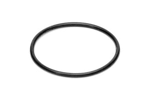 Shower Plate Gasket (C449900790)