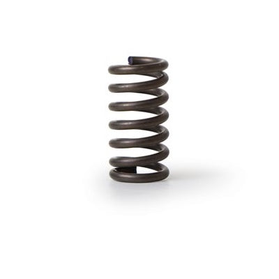 Fiorenzato F4 GRINDER SUPPORT CONTRAST SPRING